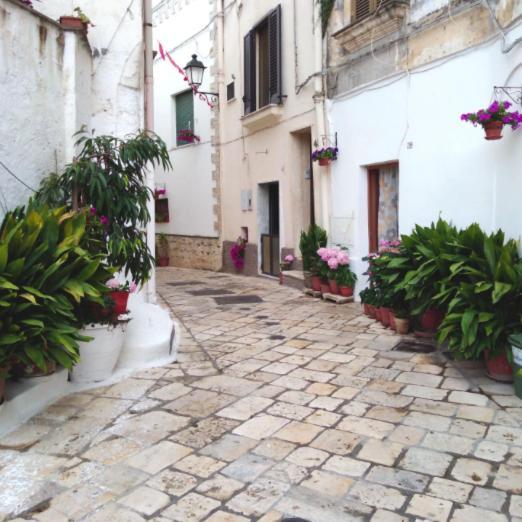מסניה Il Cancelletto Casa Vacanze מראה חיצוני תמונה